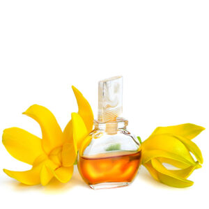 Ylang Ylang Yağı