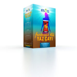 Fantastik Dörtlü (Yaz Çayı) Karışık Bitkisel Çayı